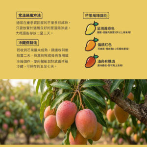 好趣覓_枋山愛文芒果季_食用說明