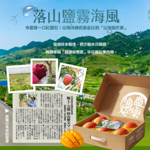 好趣覓_枋山愛文芒果