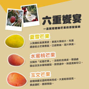 好趣覓_夏雪芒果_水蜜桃芒果_玉文芒果